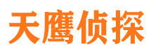 向阳市侦探公司